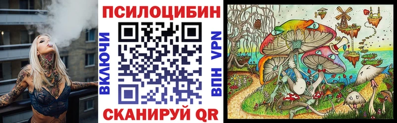 Купить  Рузаевка  Галлюциногенные грибы ЛСД 